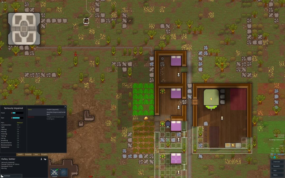 Screenshot from RimWorld