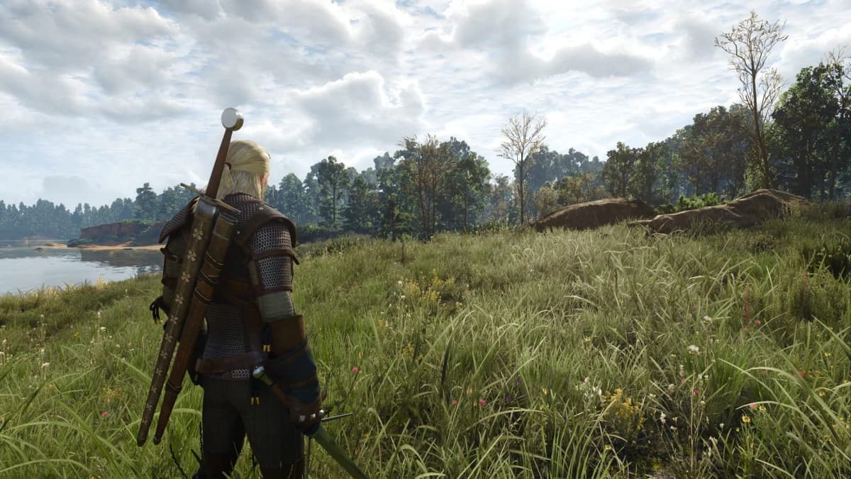 Screenshot from The Witcher 3: Wild Hunt