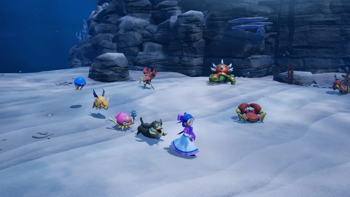 Screenshot from Dragon Quest Monsters: The Withered World