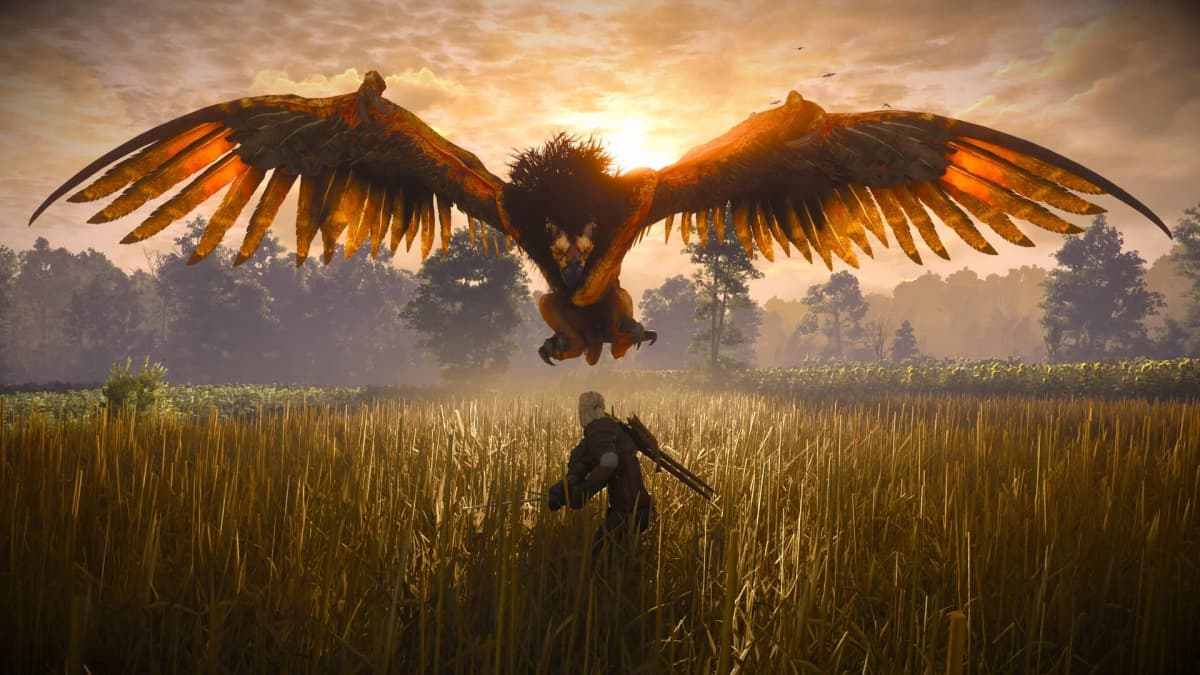 The Witcher 3: Wild Hunt — Remastered : achat Switch 2, quoi vérifier