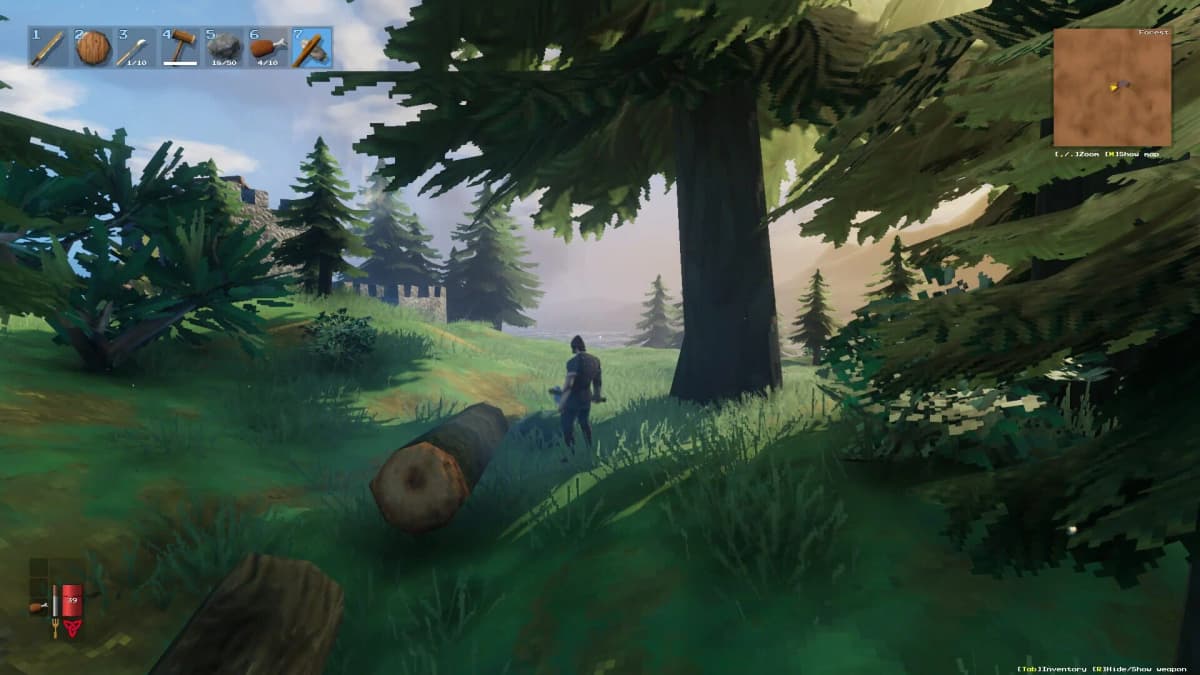 Screenshot from Valheim
