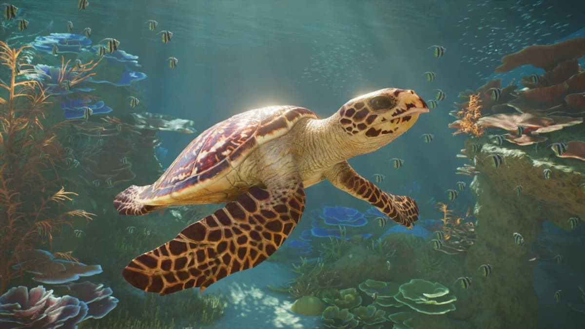 Screenshot from Planet Zoo 2