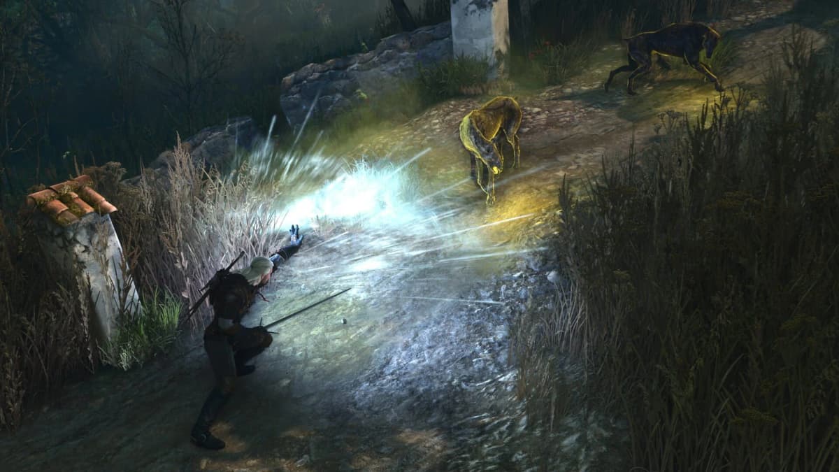 Screenshot from The Witcher 3: Wild Hunt Remastered