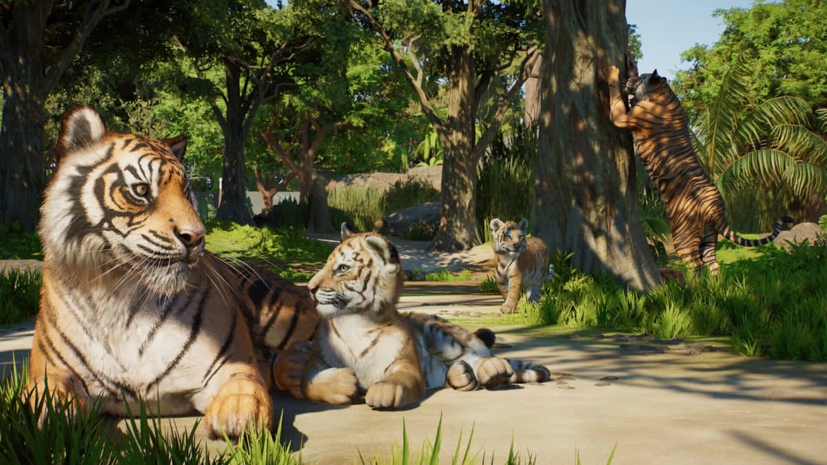 Planet Zoo 2 : comment réussir le chapitre 1 – guide du bronze